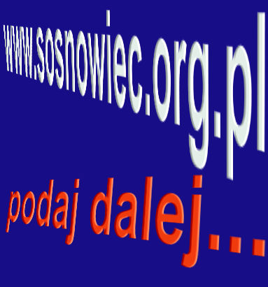 Kościół musi być w internecie