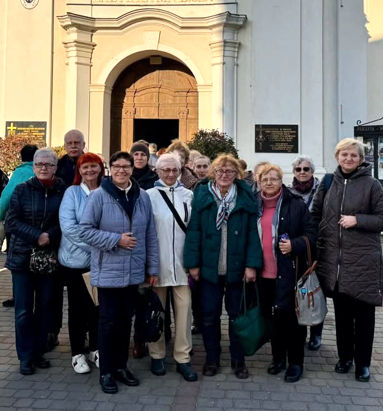 Margaretki w Kaliszu