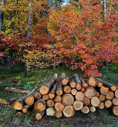 Na marginesie: weź się do roboty Na marginesie: weź się do roboty