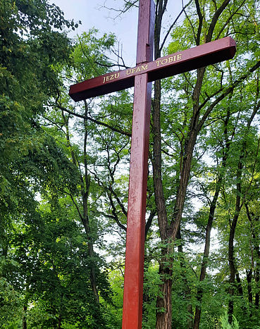Krzyż zakonserwowany Krzyż zakonserwowany