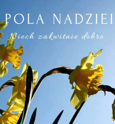Pola Nadziei zasadzone Pola Nadziei zasadzone